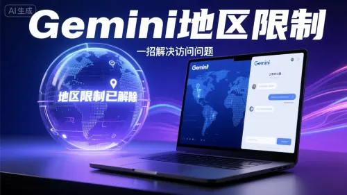 Gemini 无法使用