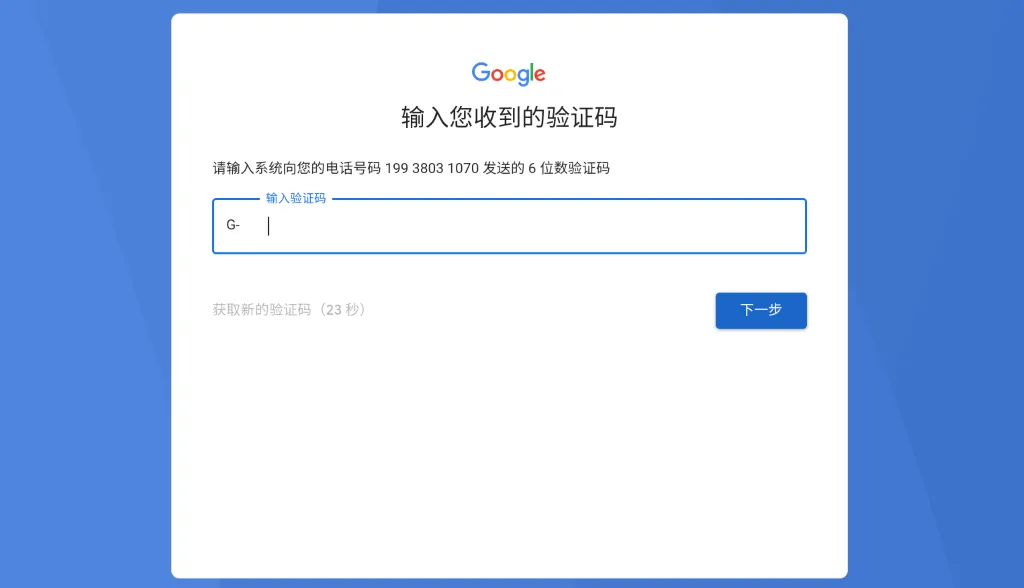 输入 Google 验证码页面