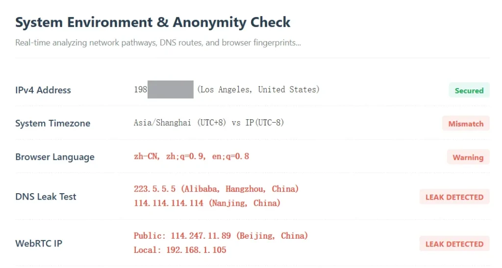 DNS 泄露或 WebRTC 泄露示例